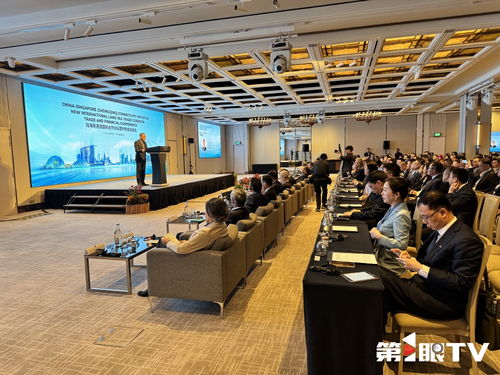 共話合作與發(fā)展 2025陸海新通道國際合作論壇暨中新金融峰會在新加坡啟動(dòng)