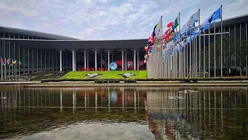 與世界共享農(nóng)業(yè)未來 世界農(nóng)產(chǎn)品點(diǎn)亮中國進(jìn)博會(huì)